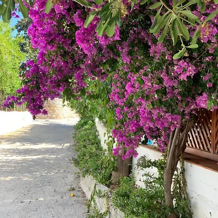 Patmos شقة