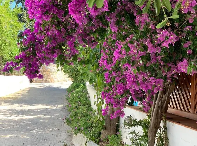 Patmos 公寓