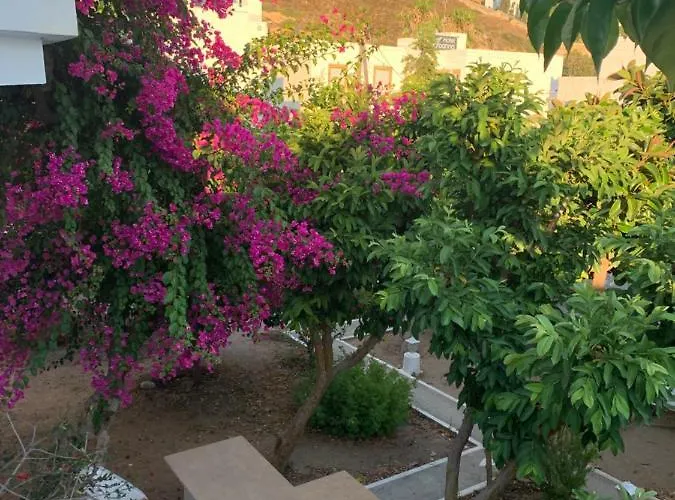 شقة Patmos *